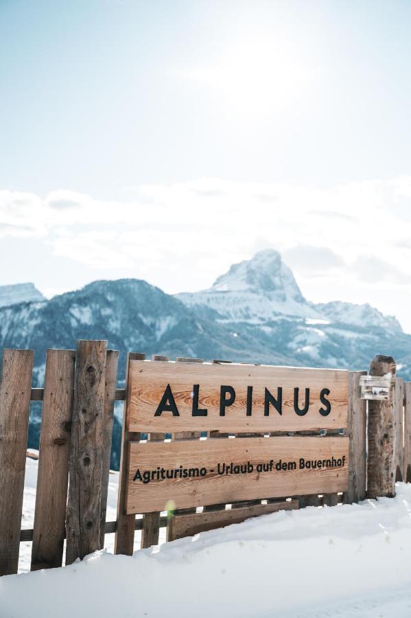 Apartamento Alpinus Agriturism San Martino in Badia Exterior foto